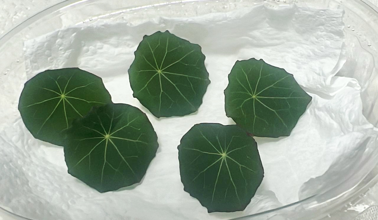 bakul